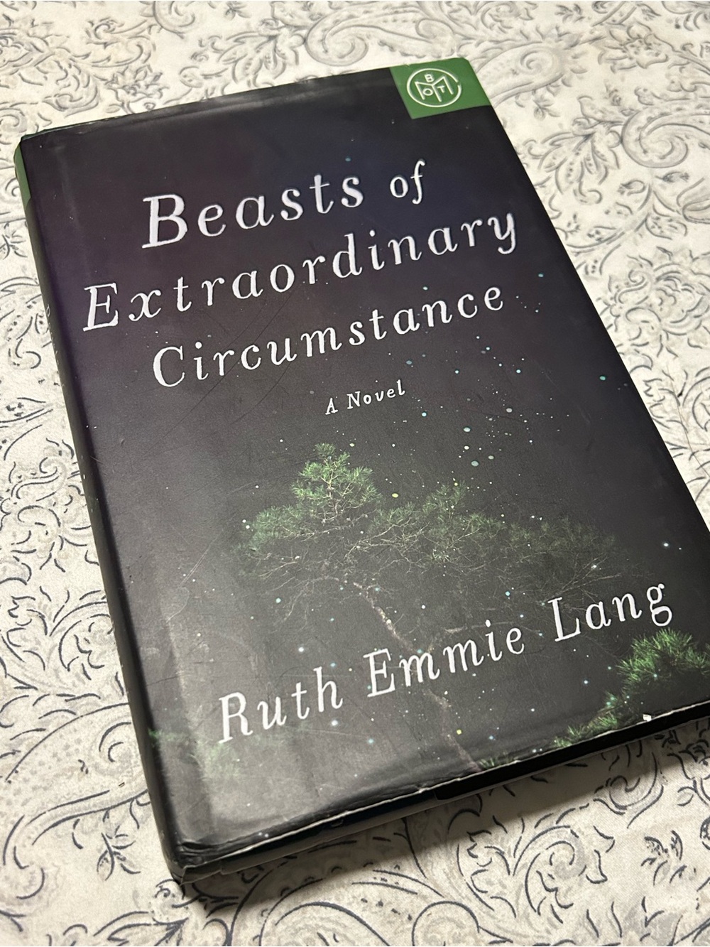 Beasts of Extraordinary Circumstance Hardcover Book - Black by Ruth Emmie Lang